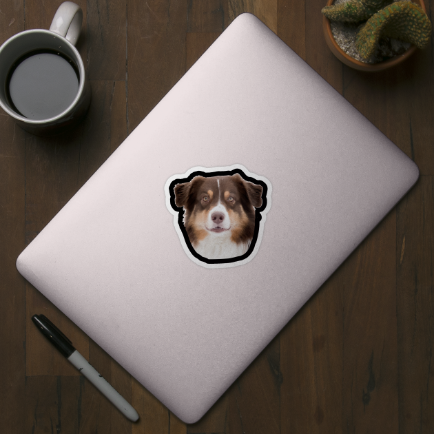 Australian Shepard red tri by designnas2